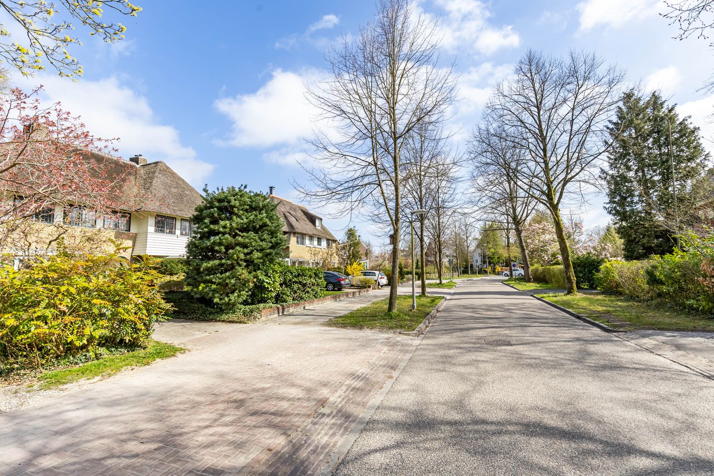 Foto 85 van Botanicuslaan 24