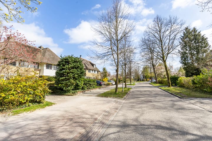 Foto 85 van Botanicuslaan 24