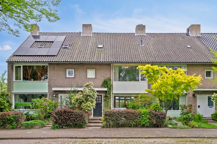 Bekijk foto van Thomaslaan 50