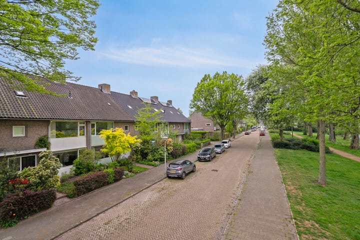 Foto 41 van Thomaslaan 50