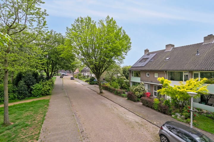 Foto 42 van Thomaslaan 50