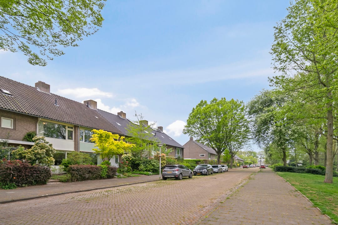 Foto 43 van Thomaslaan 50