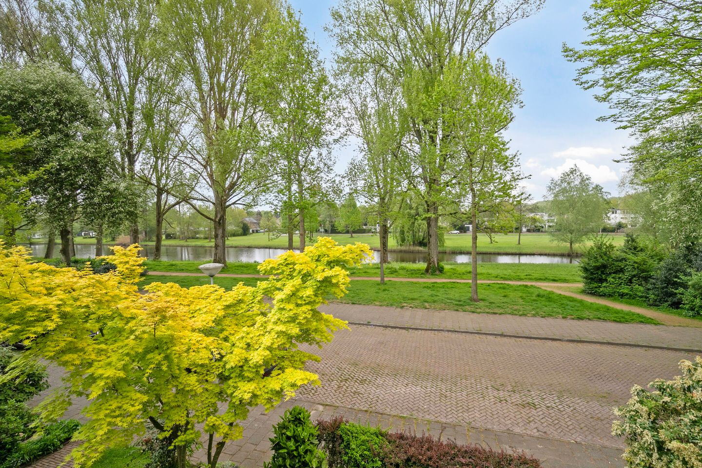 Foto 44 van Thomaslaan 50