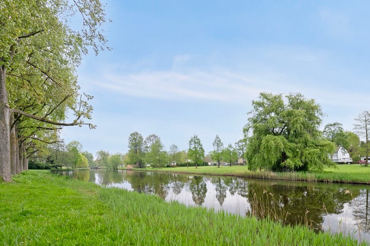 Foto 46 van Thomaslaan 50