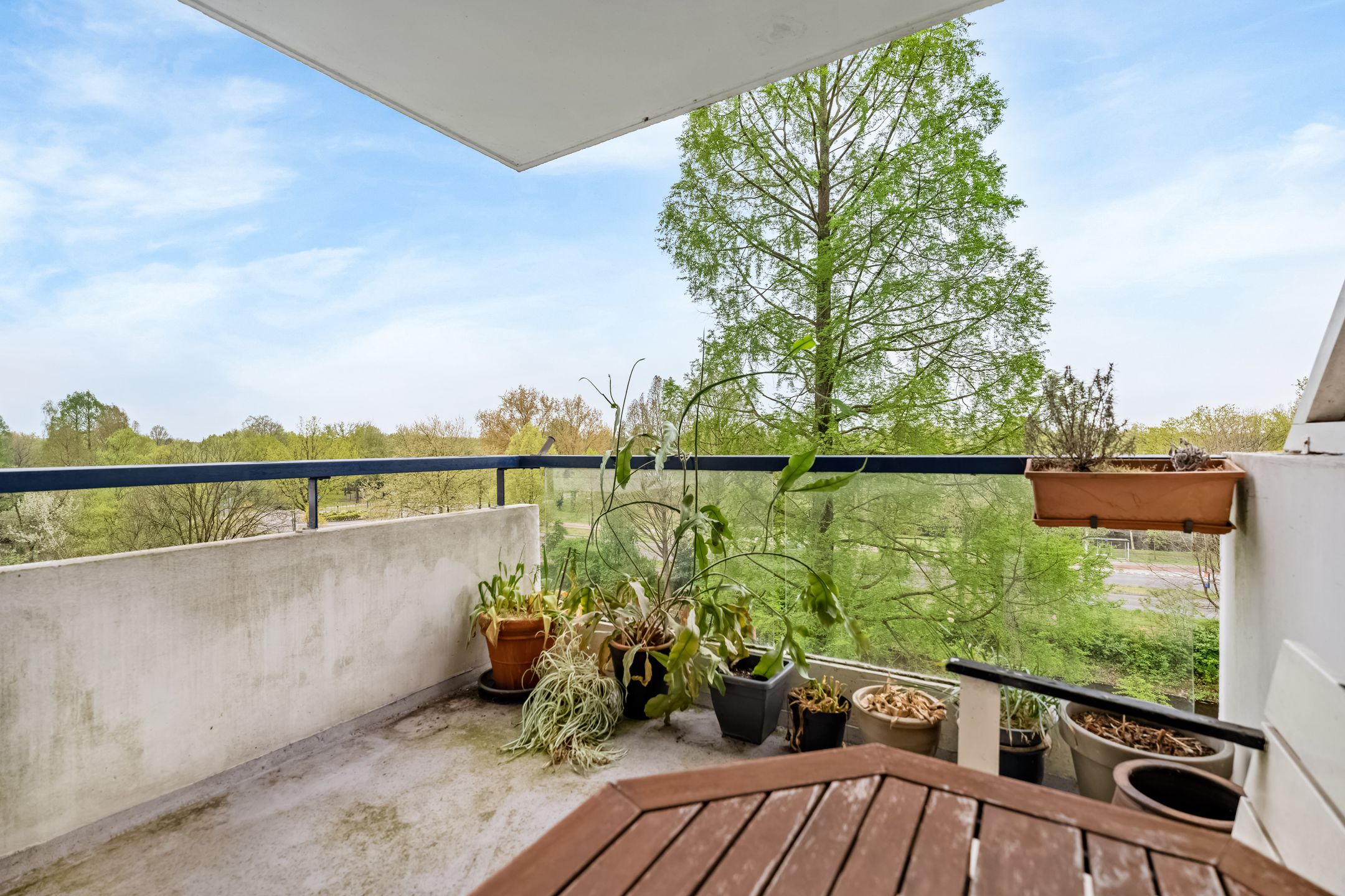 Foto 18 van Veenbesstraat 56