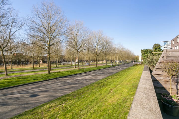 Foto 37 van Ruijgenhoeksepolder 40