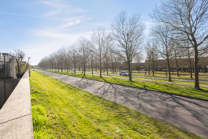 Foto 38 van Ruijgenhoeksepolder 40