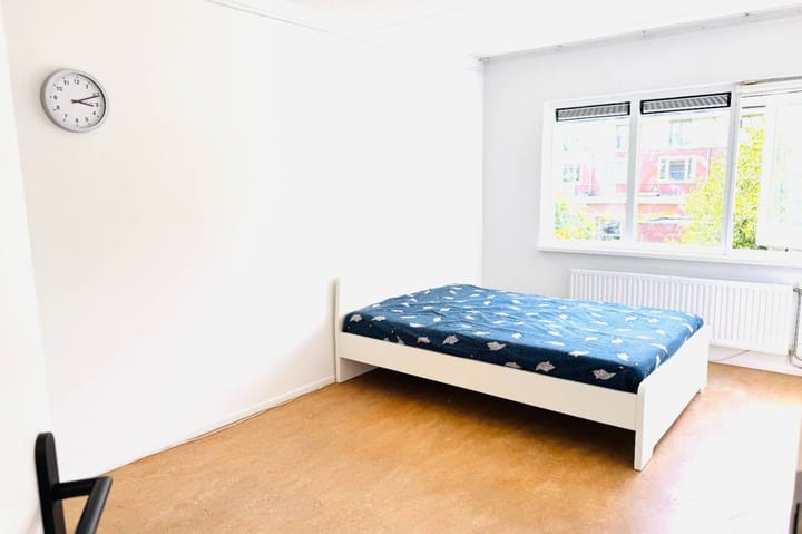 Foto 29 van Bertus Aafjeslaan 4