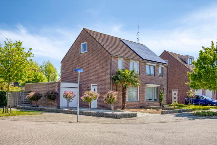 Foto 4 van Poolster 176