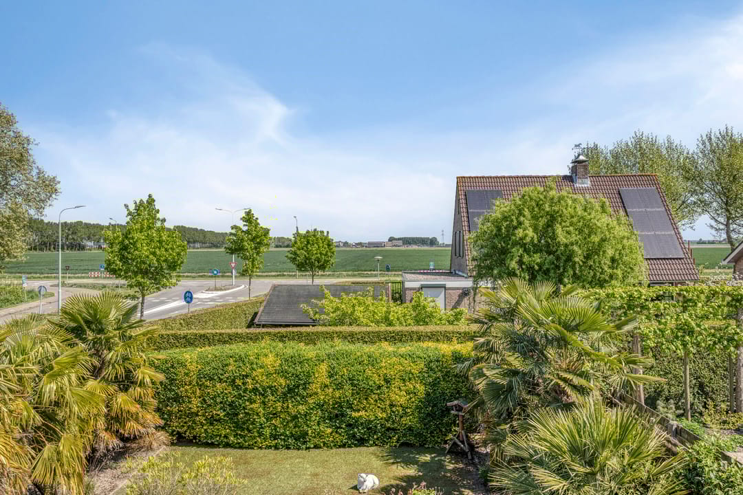 Foto 17 van Poolster 176