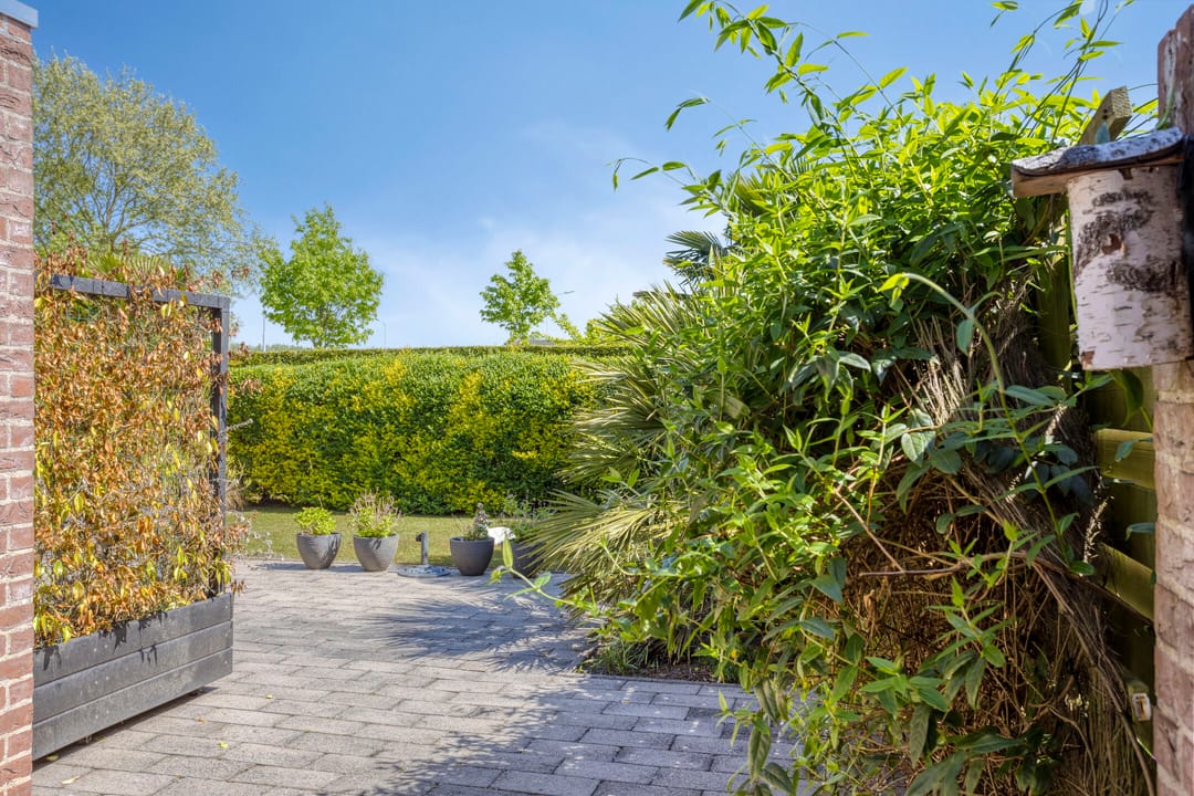 Foto 26 van Poolster 176