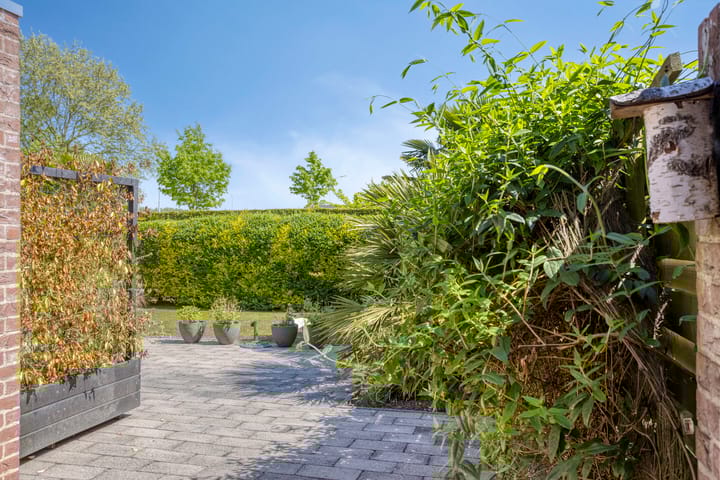 Foto 26 van Poolster 176