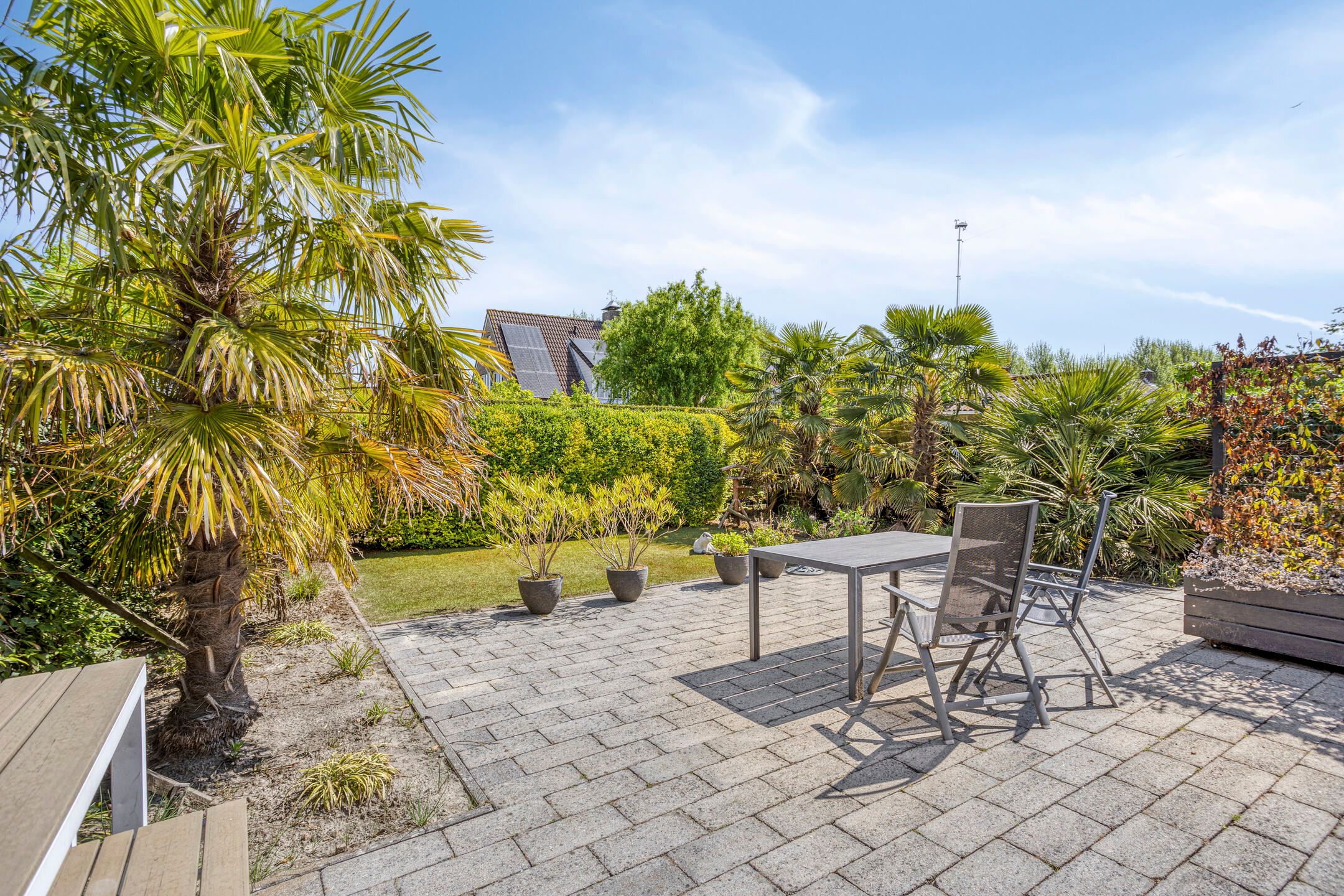 Foto 30 van Poolster 176