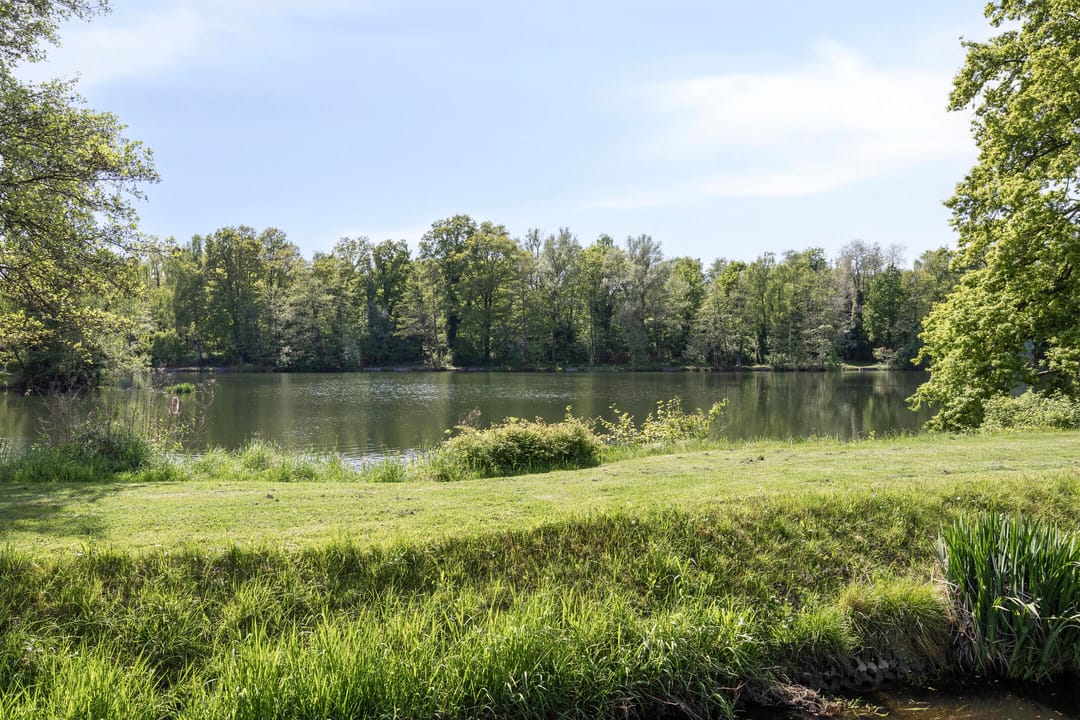 Photo 38 of Breemarsweg 451