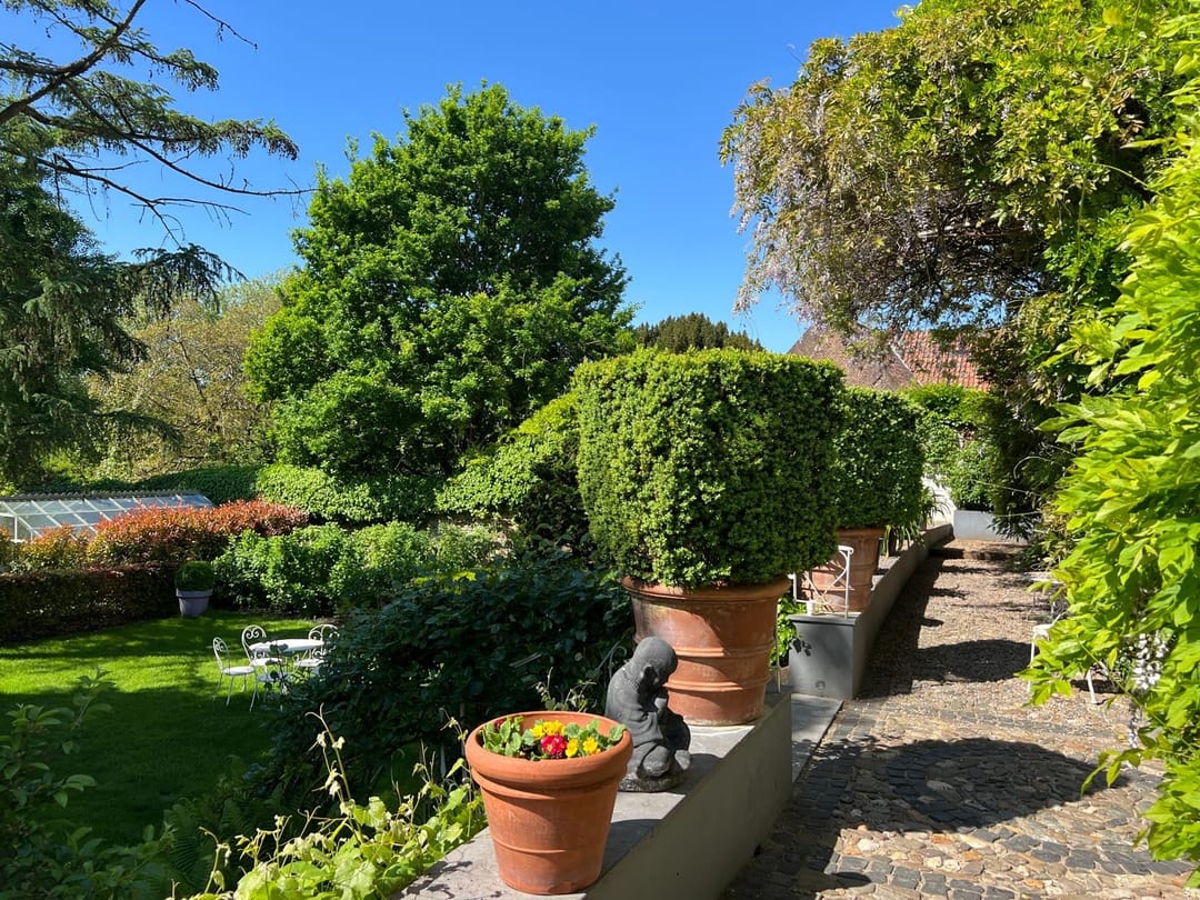 Foto 56 van Wijngaard 9