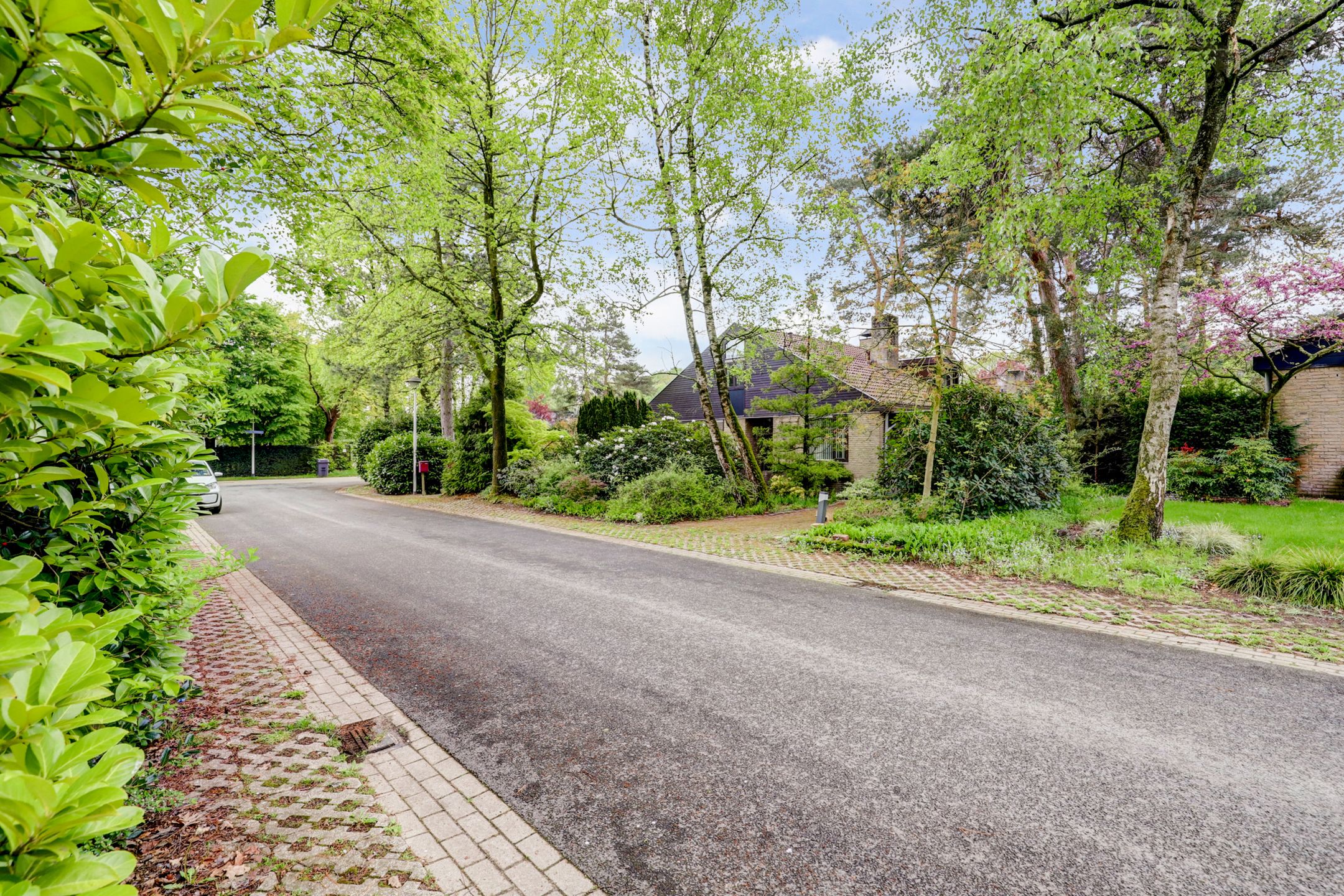 Foto 3 van Berkenlaan 22