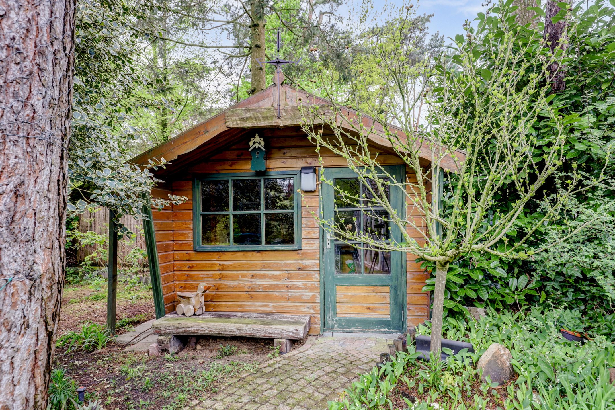 Foto 24 van Berkenlaan 22