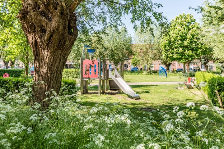 Foto 33 van Mophosostraat 11