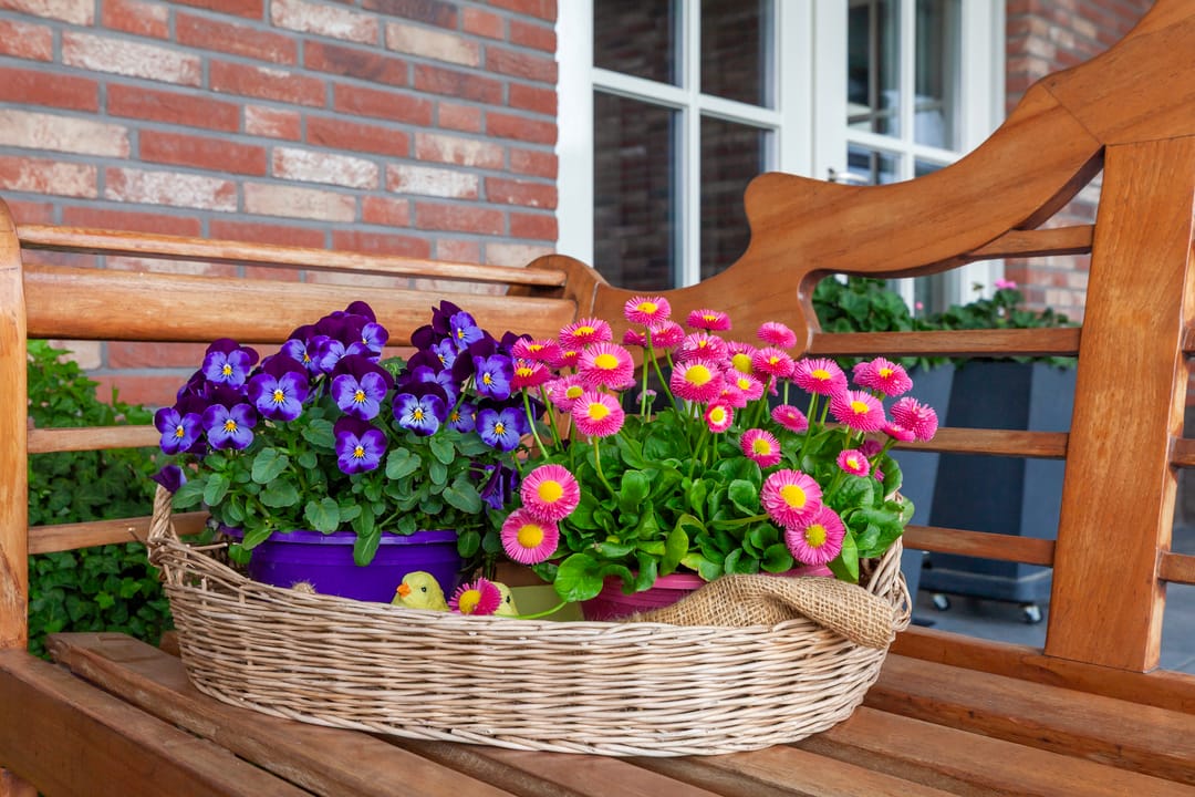 Foto 68 van Oosteinde 37-A