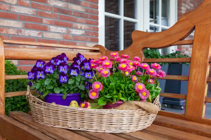 Photo 68 of Oosteinde 37-A