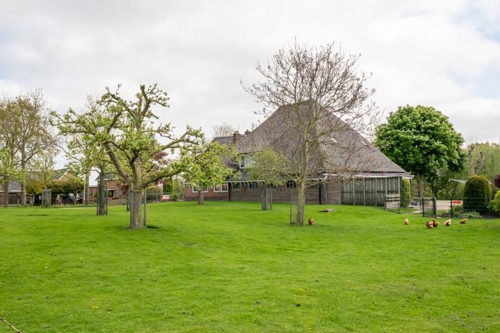 Foto 4 van Westeinderweg 11