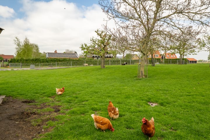 Foto 39 van Westeinderweg 11