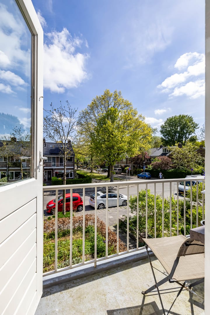 Foto 48 van Haydnlaan 21