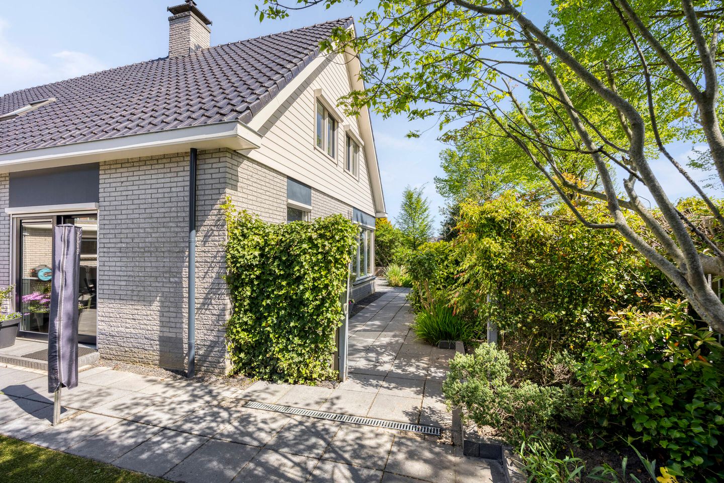 Foto 34 van Frima Steenhuis 33