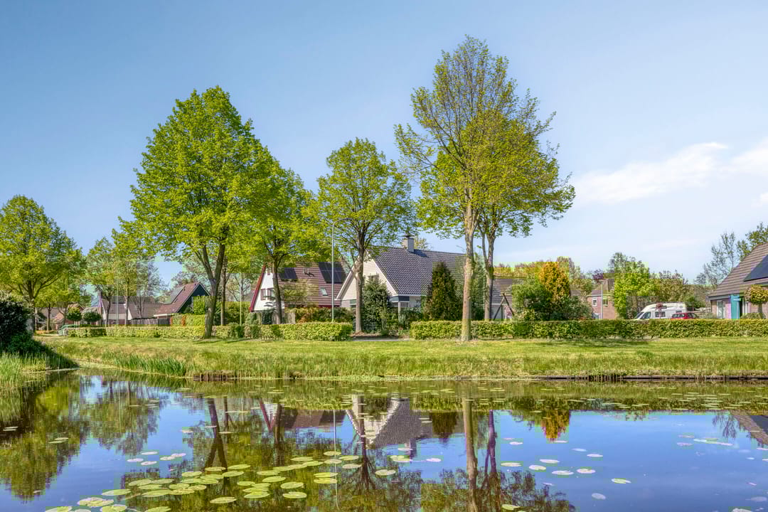 Foto 38 van Frima Steenhuis 33