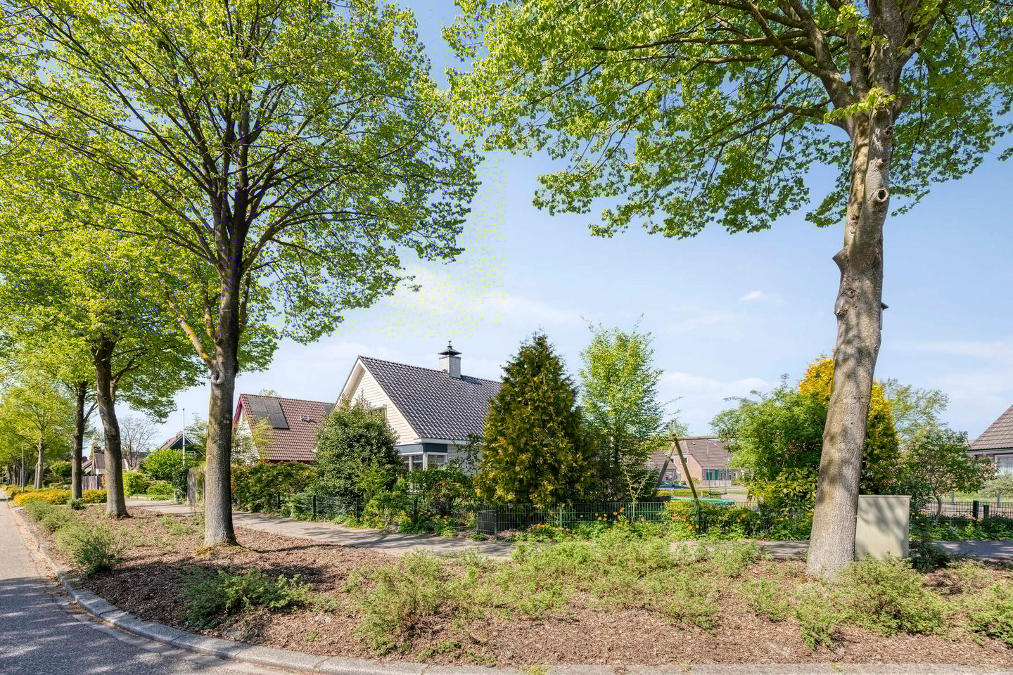 Foto 40 van Frima Steenhuis 33