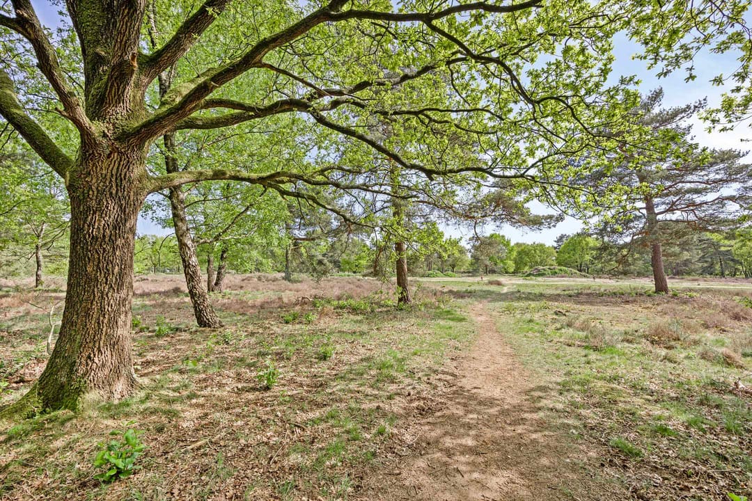 Foto 37 van Nieuwe Prinsenweg 5-1