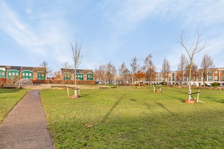 Foto 22 van Zocalo 17