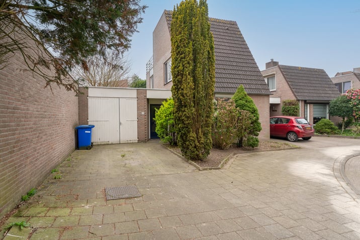 undefined main image