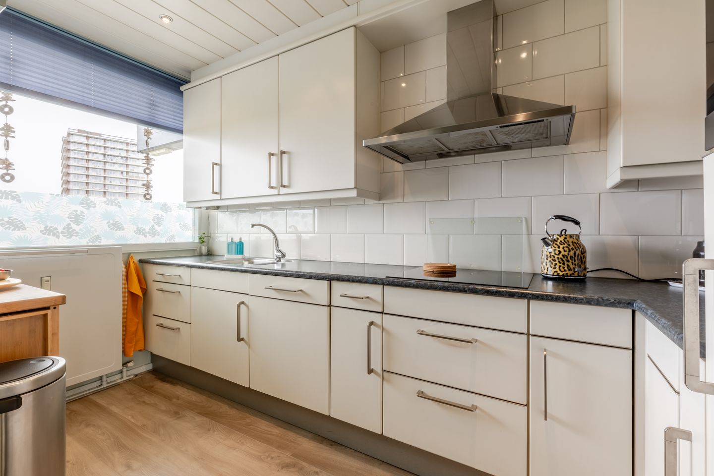 Foto 5 van Anatole Franceplaats 724