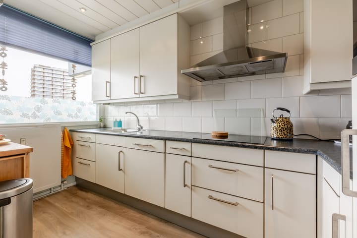 Foto 5 van Anatole Franceplaats 724