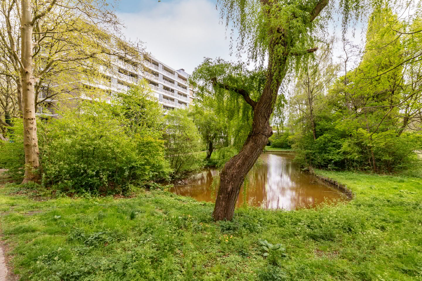 Foto 25 van Anatole Franceplaats 724