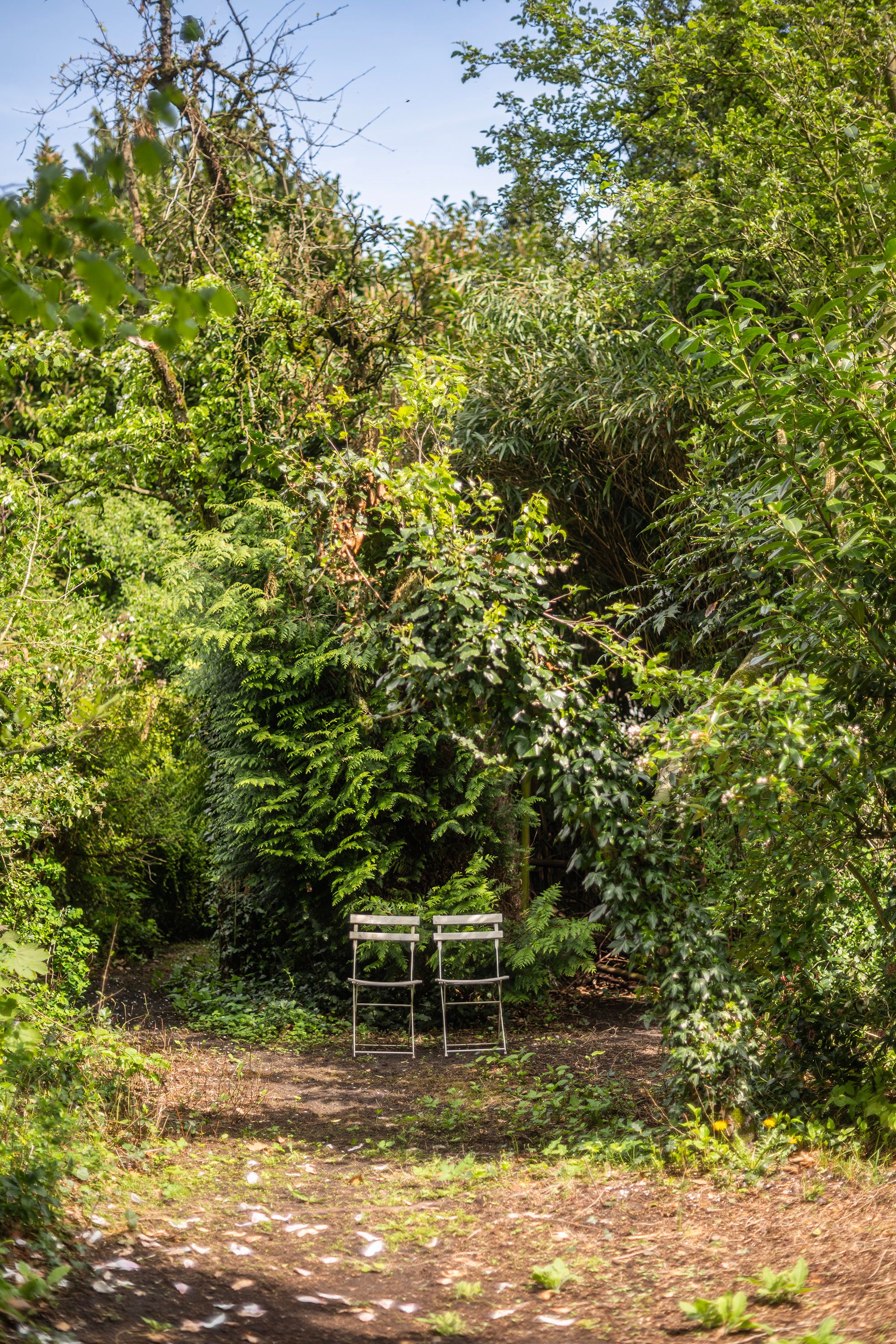 Foto 51 van Wipstrikkerallee 115