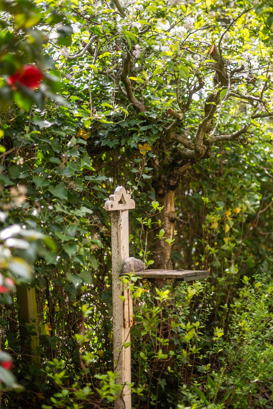 Foto 53 van Wipstrikkerallee 115