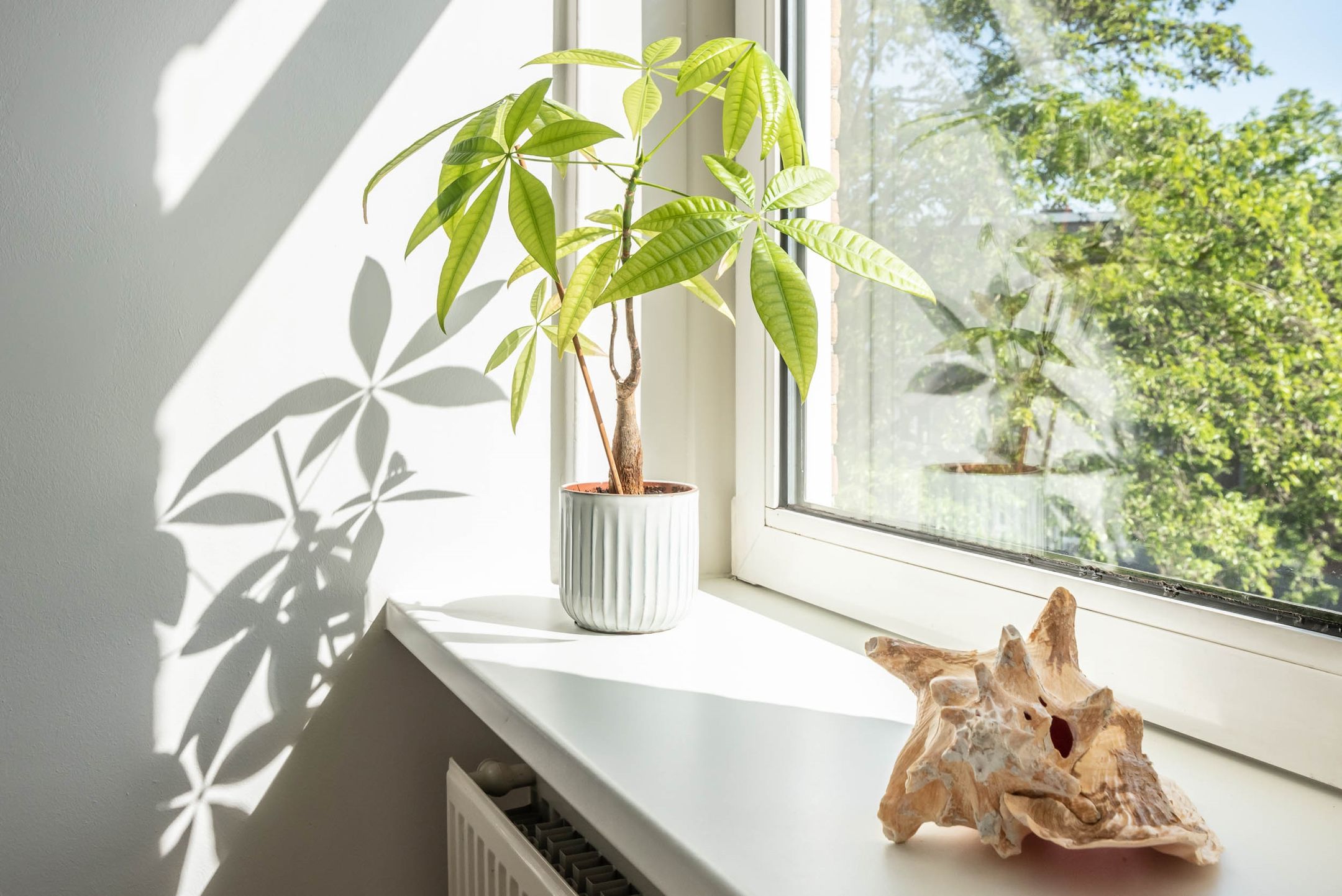 Foto 12 van Herculesstraat 128-3