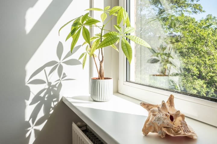 Foto 12 van Herculesstraat 128-3