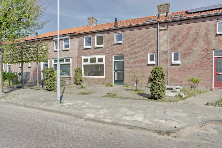 undefined main image