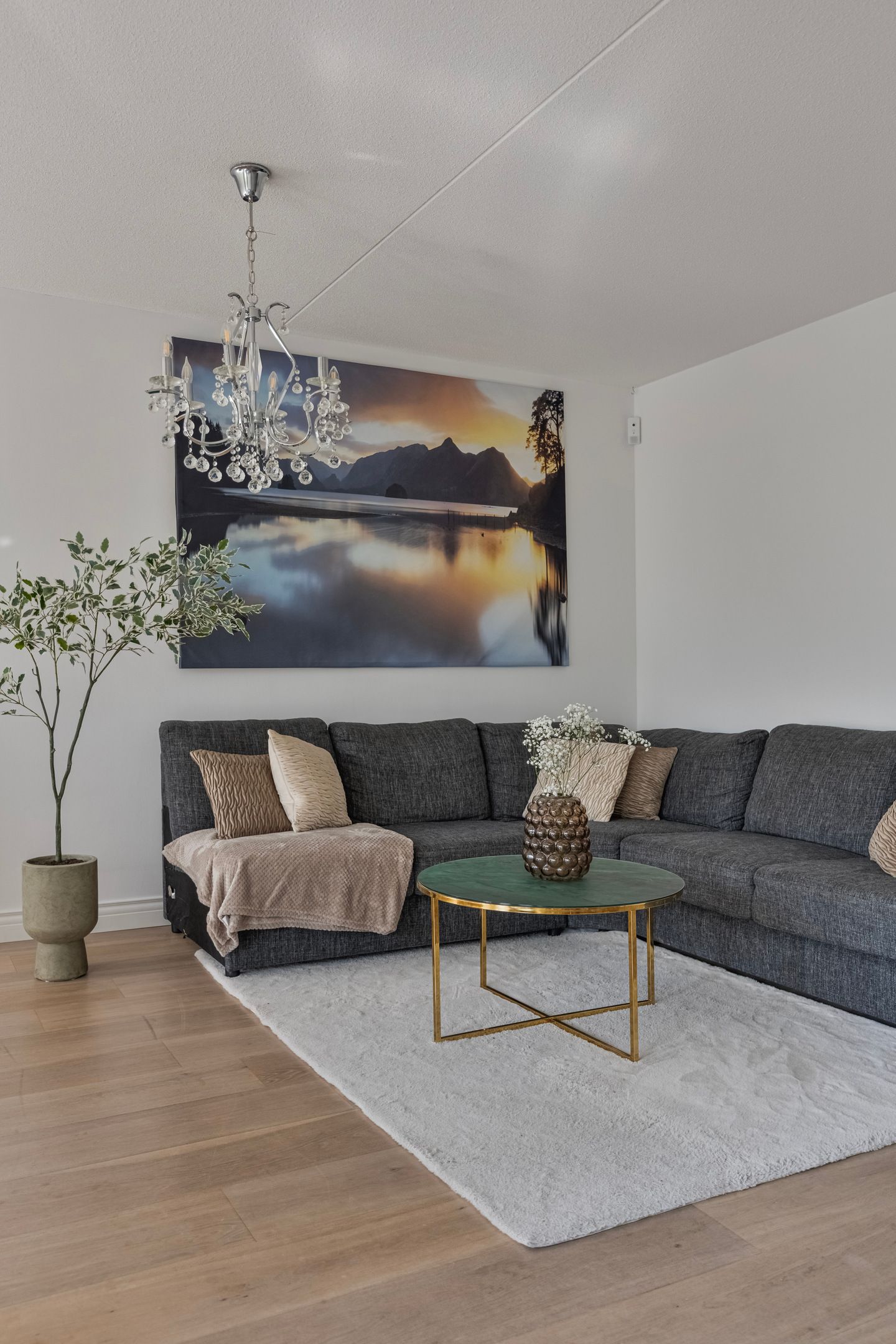 Foto 6 van Johan Hofmanstraat 319