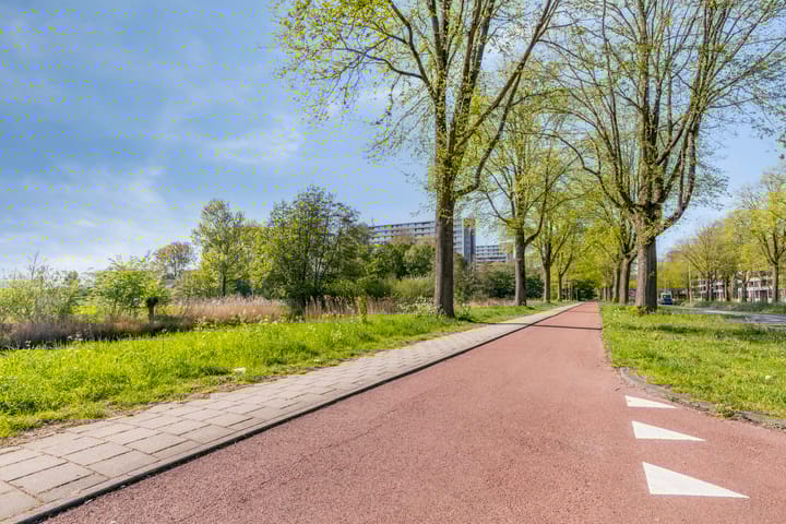 Foto 33 van Johan Hofmanstraat 319