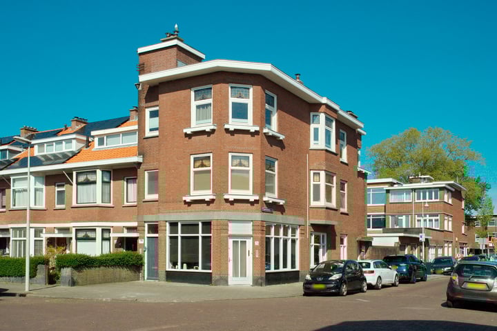 Tomatenstraat 119
