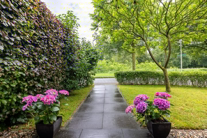 Foto 45 van Asterstraat 86