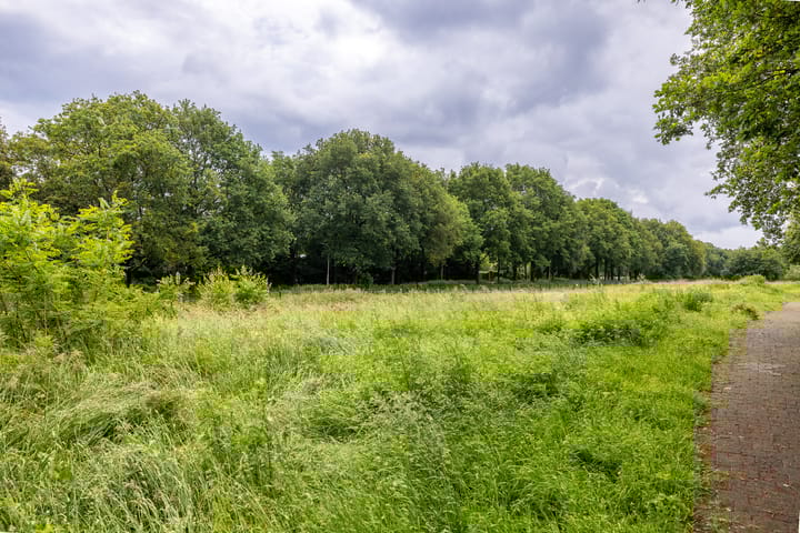 Foto 53 van Asterstraat 86