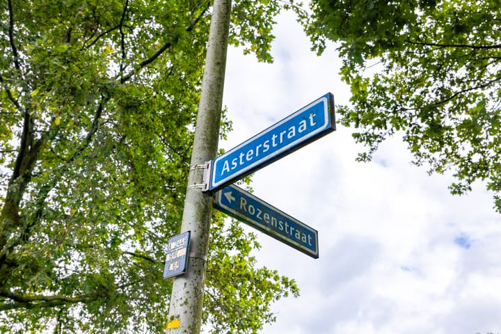 Foto 54 van Asterstraat 86