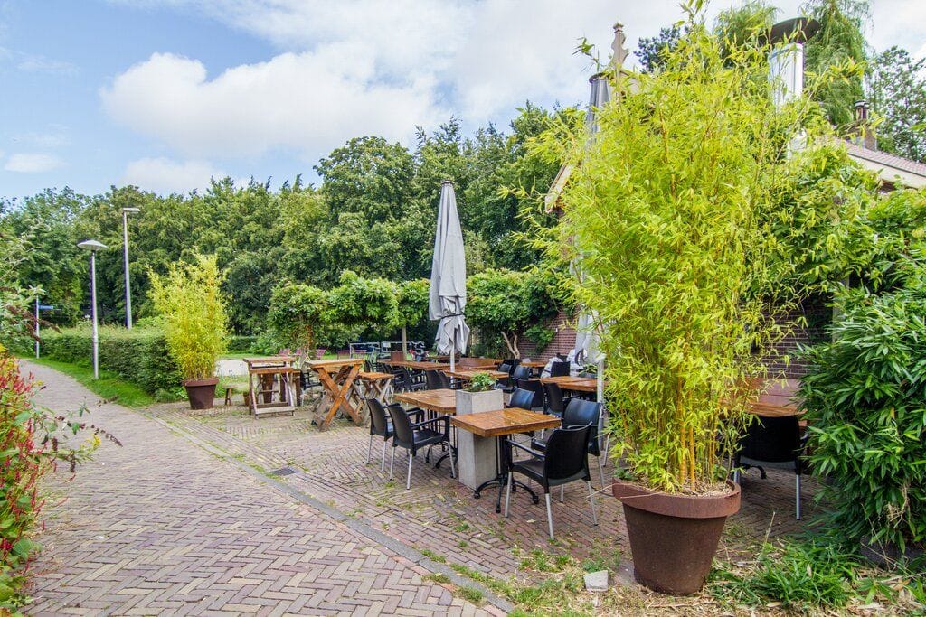 Foto 37 van Roggestraat 25