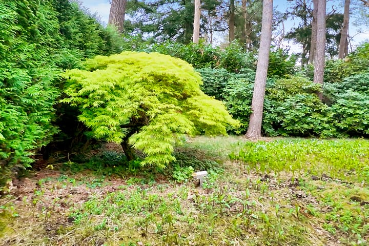 Foto 51 van Bremlaan 32