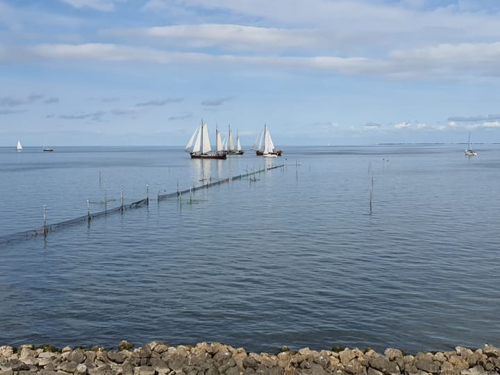 Foto 35 van Kleingouw 83